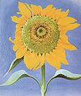 Sunflower, New Mexico 1935 by Georgia O'Keeffe